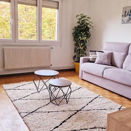 Le Cosy Des Marronniers - 6 Pers Appartement Sélestat Buitenkant foto